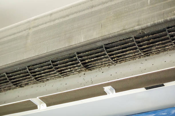 Best Air Duct Cleaning Company Near Me  in St John, MO